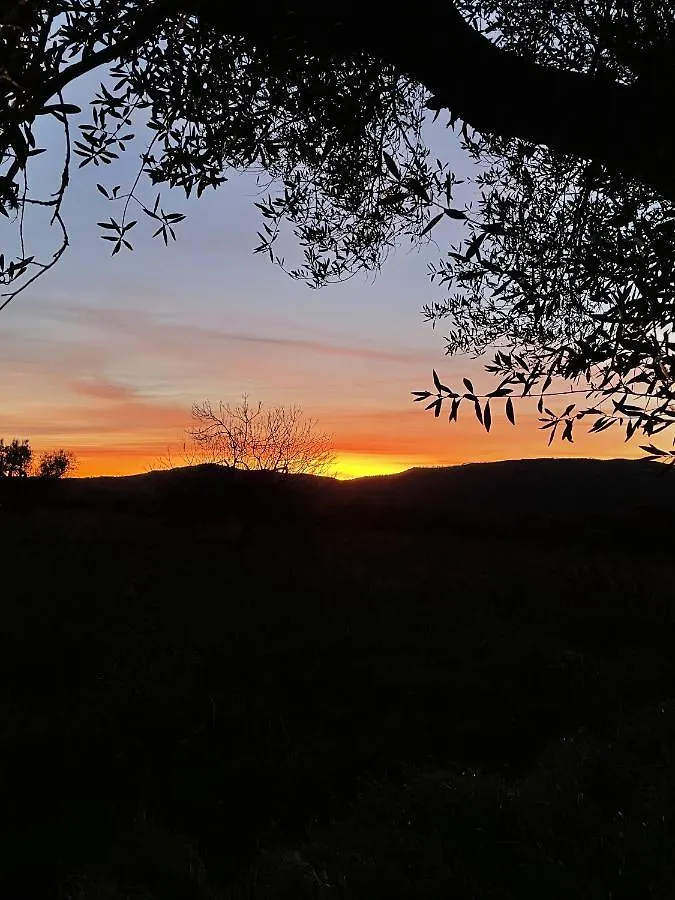 Agriturismo Pietramora ピティリアーノ