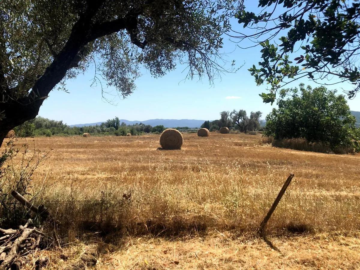 ファームステイ Agriturismo Pietramora ピティリアーノ イタリア
