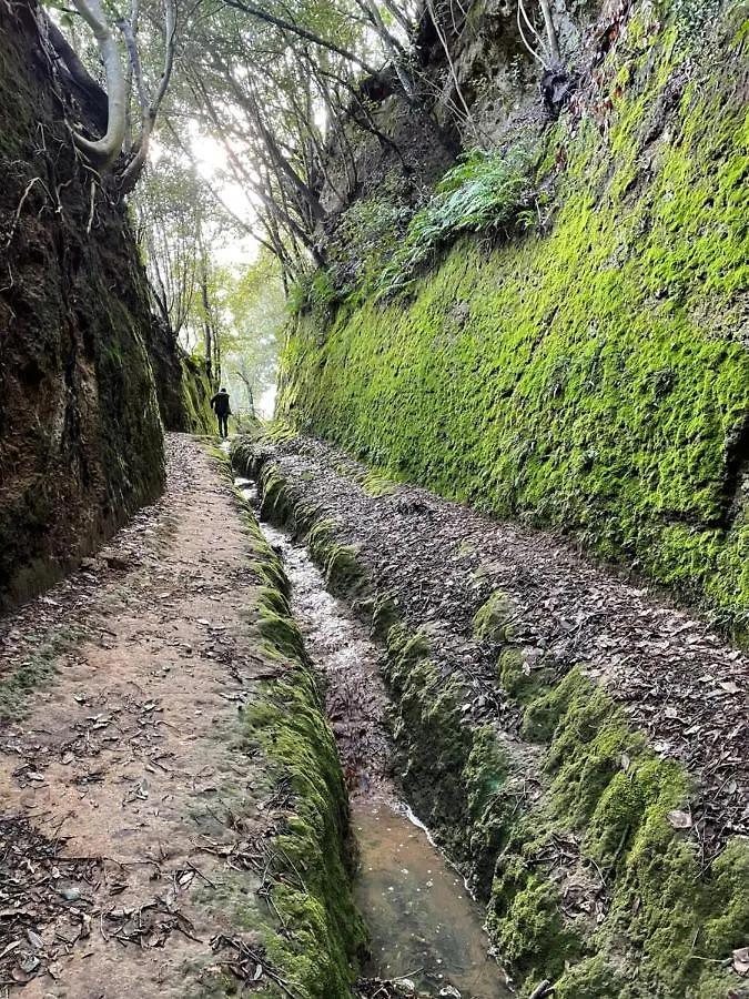 Agriturismo Pietramora ピティリアーノ ファームステイ