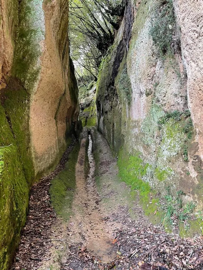 Agriturismo Pietramora بيتيجليانو مزرعة للإقامة