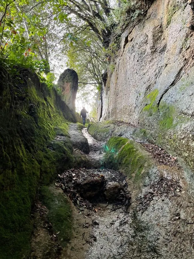 Agriturismo Pietramora بيتيجليانو